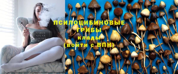 ешки Костерёво