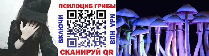 Псилоцибиновые грибы мухоморы  Михайловка 